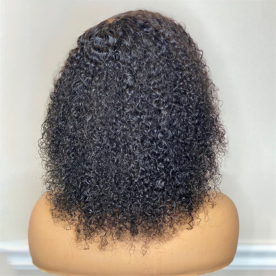 Lace front wig worn by model -100% Human hair , Pre -Plucked, 13x4 Lace